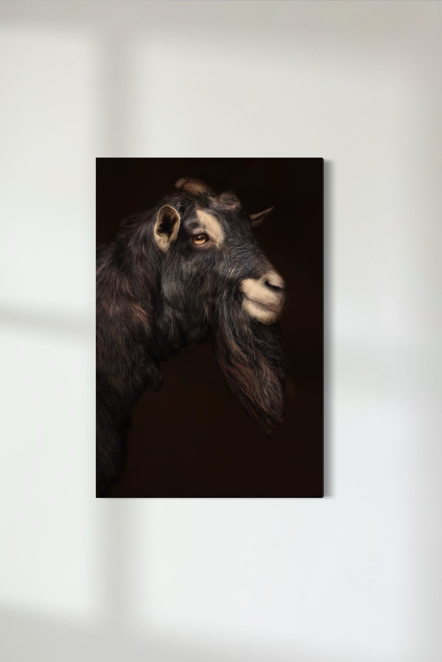 Alpine Goat