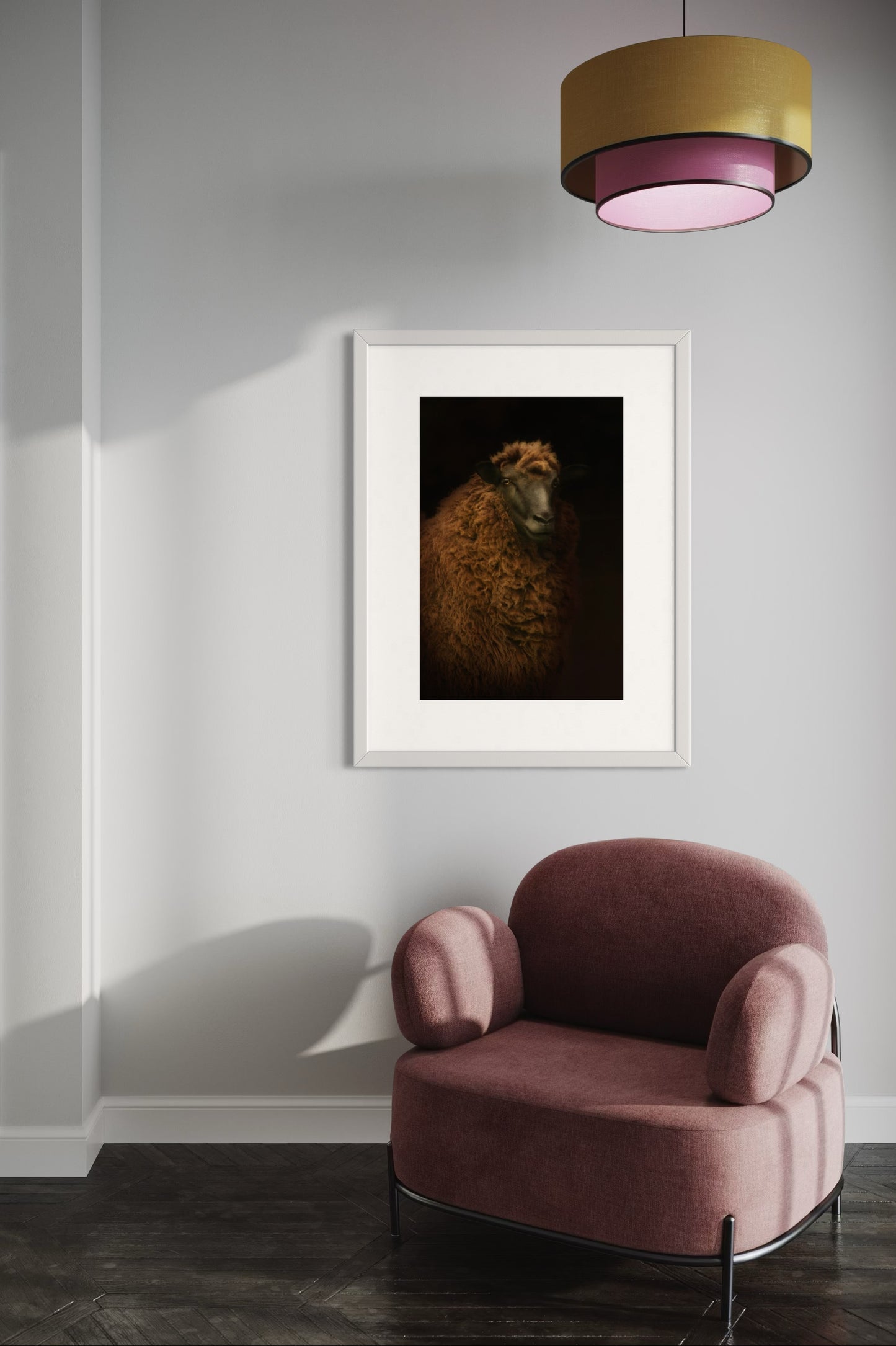 Arapawa Ewe