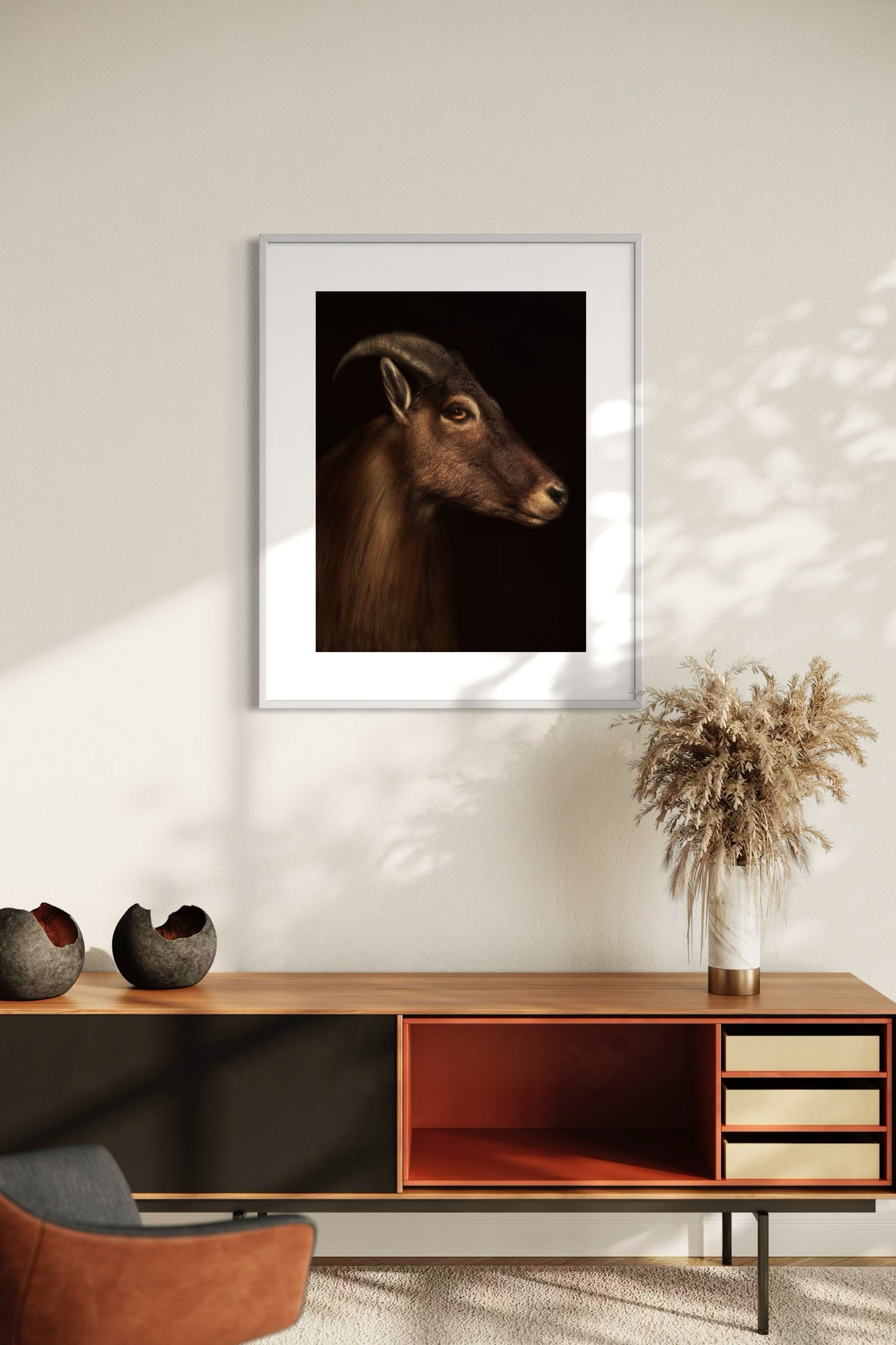 Himalayan Tahr