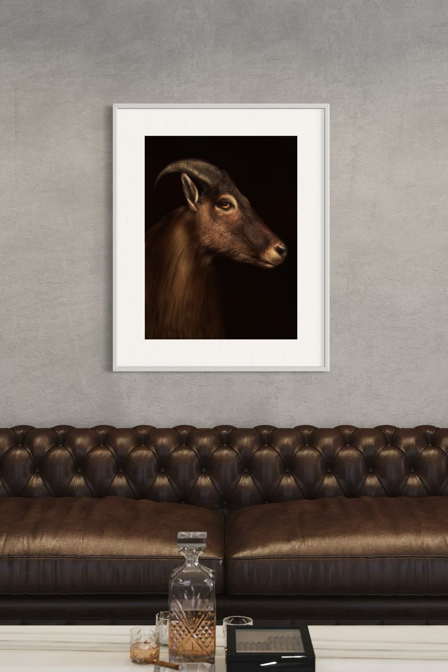 Himalayan Tahr