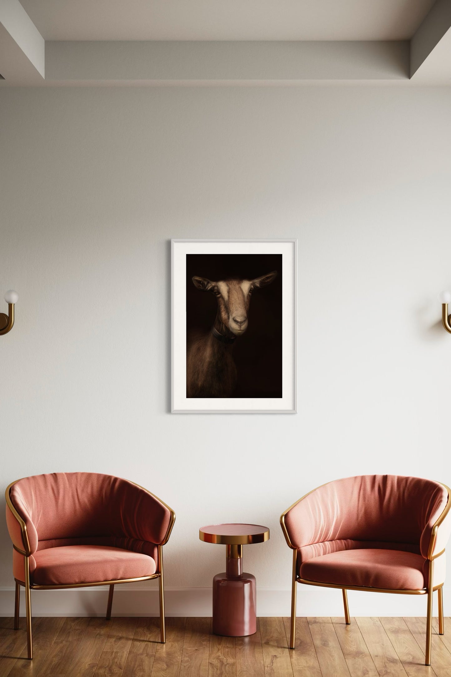 Toggenburg Goat