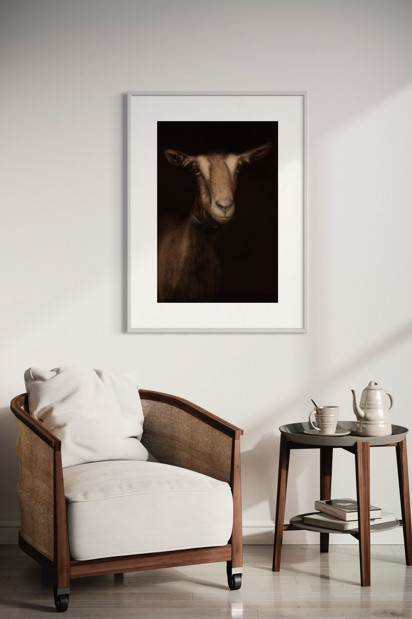 Toggenburg Goat