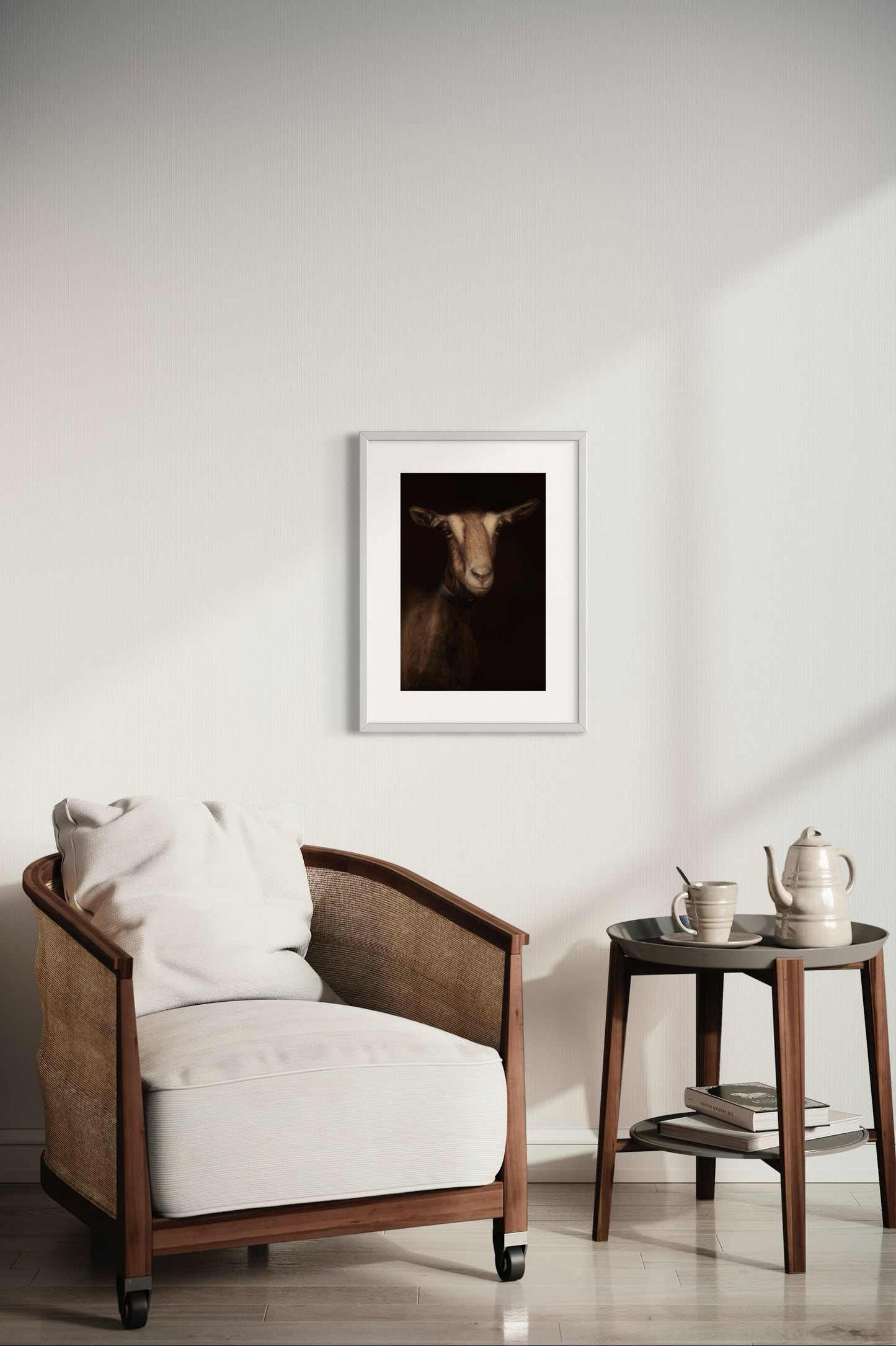 Toggenburg Goat