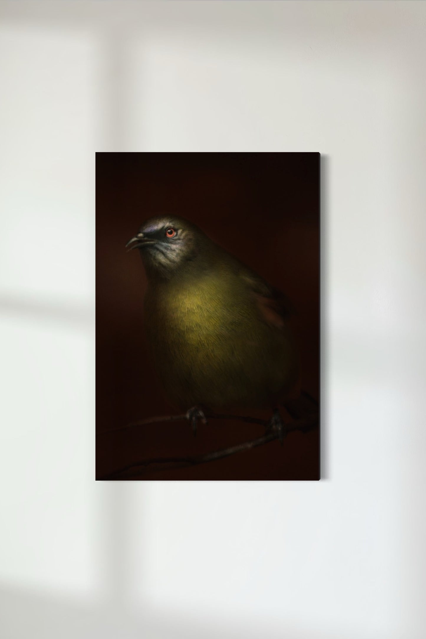Korimako | Bellbird