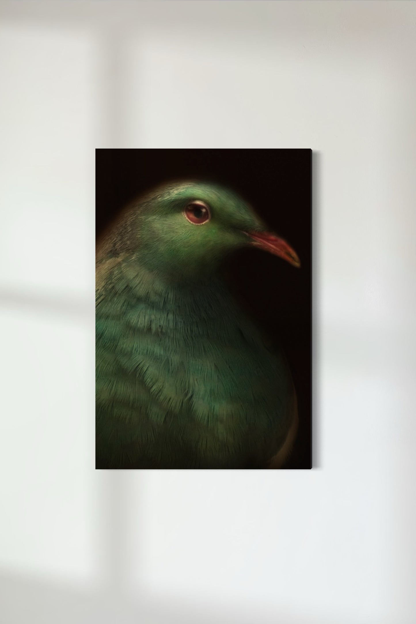 Kererū - Wood Pigeon