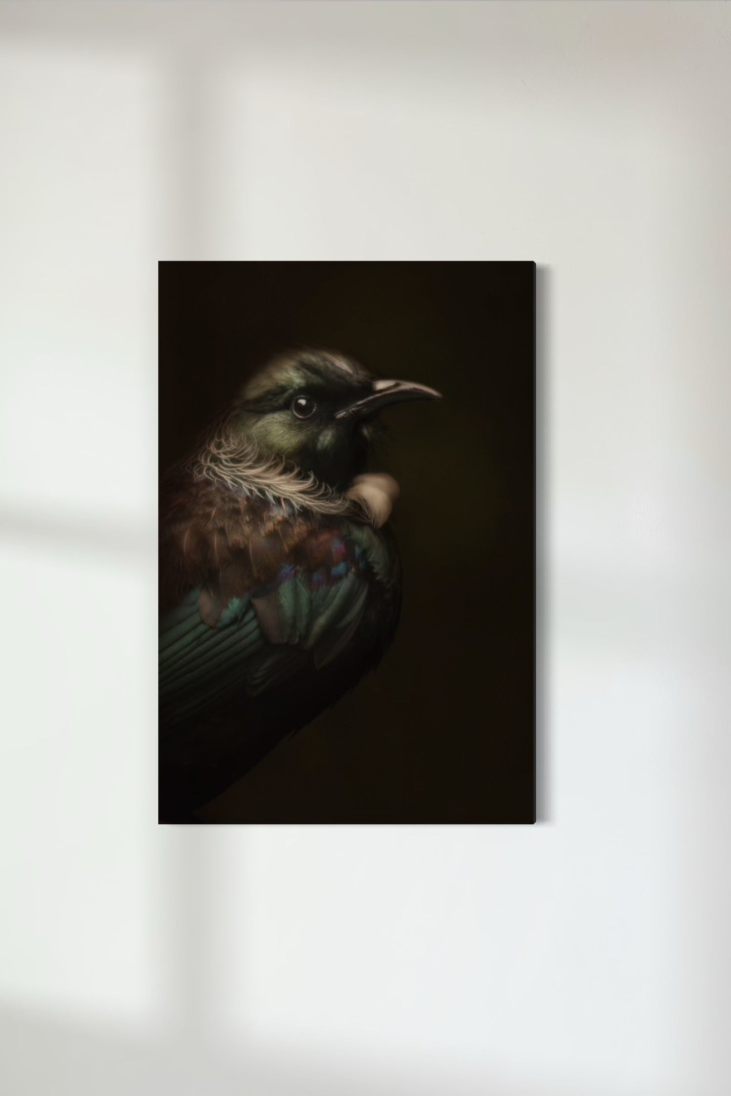 Tūī