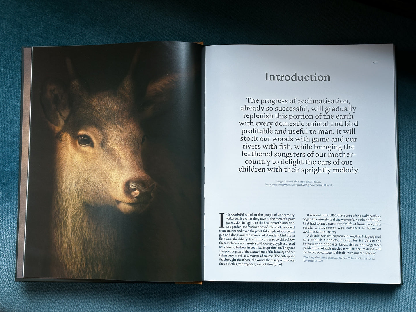 The Long Shadow: How Introduced Species Changed the Fauna of Aotearoa