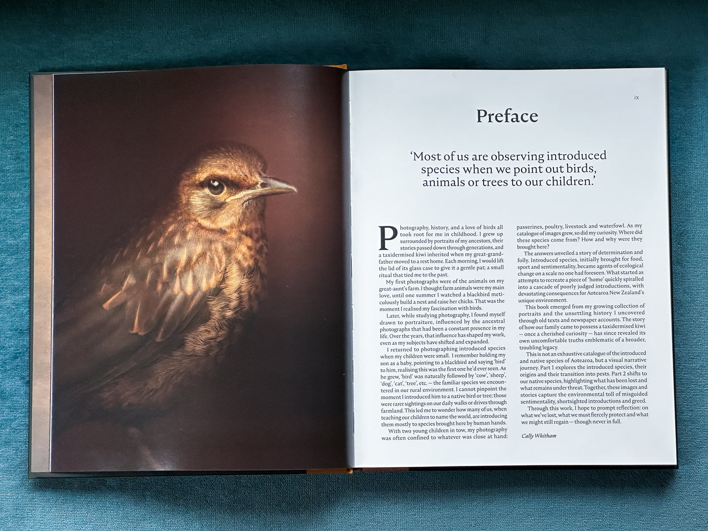 The Long Shadow: How Introduced Species Changed the Fauna of Aotearoa