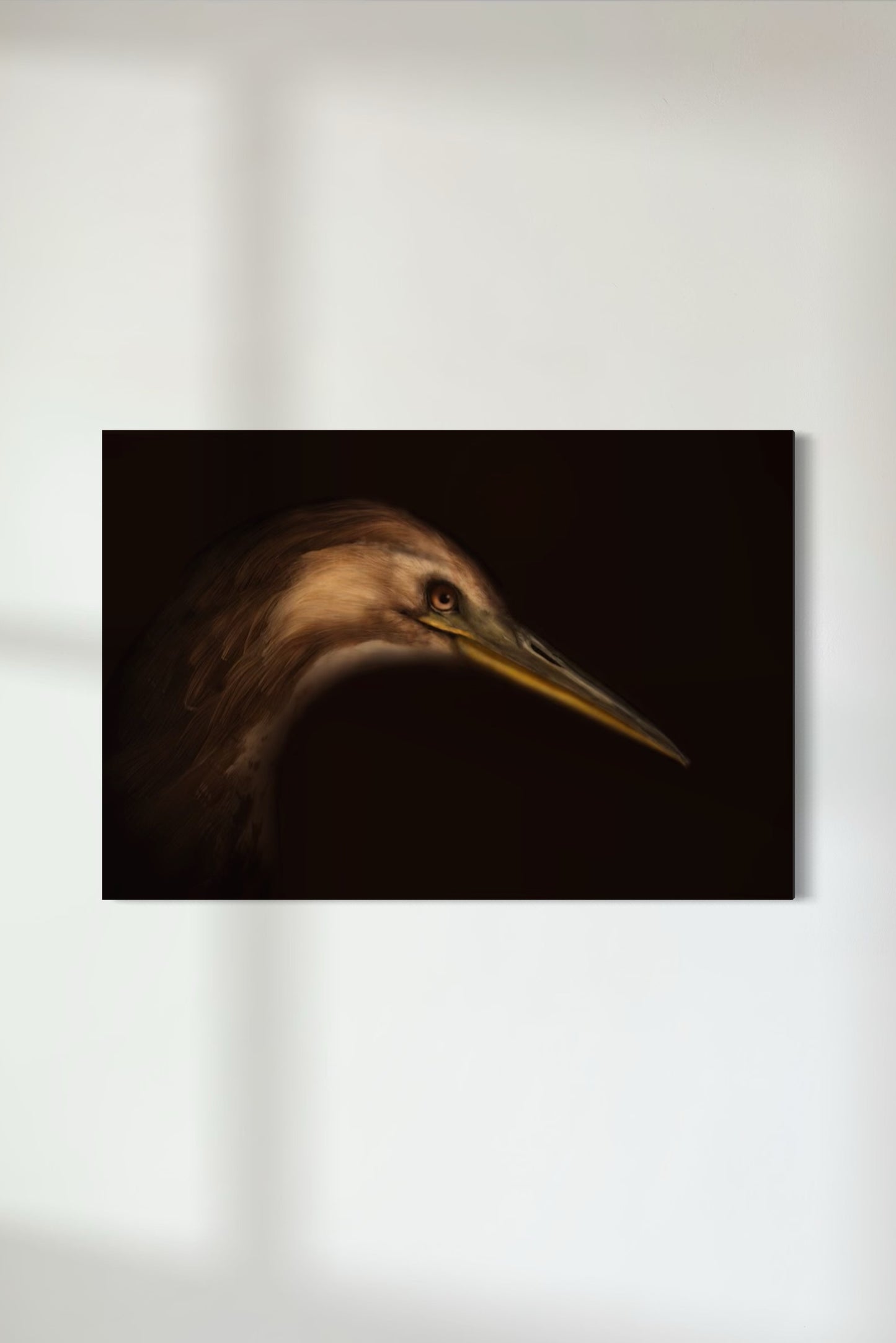Australasian Bittern | Matuku-hūrepo