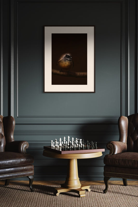 Fantail | Pīwakawaka