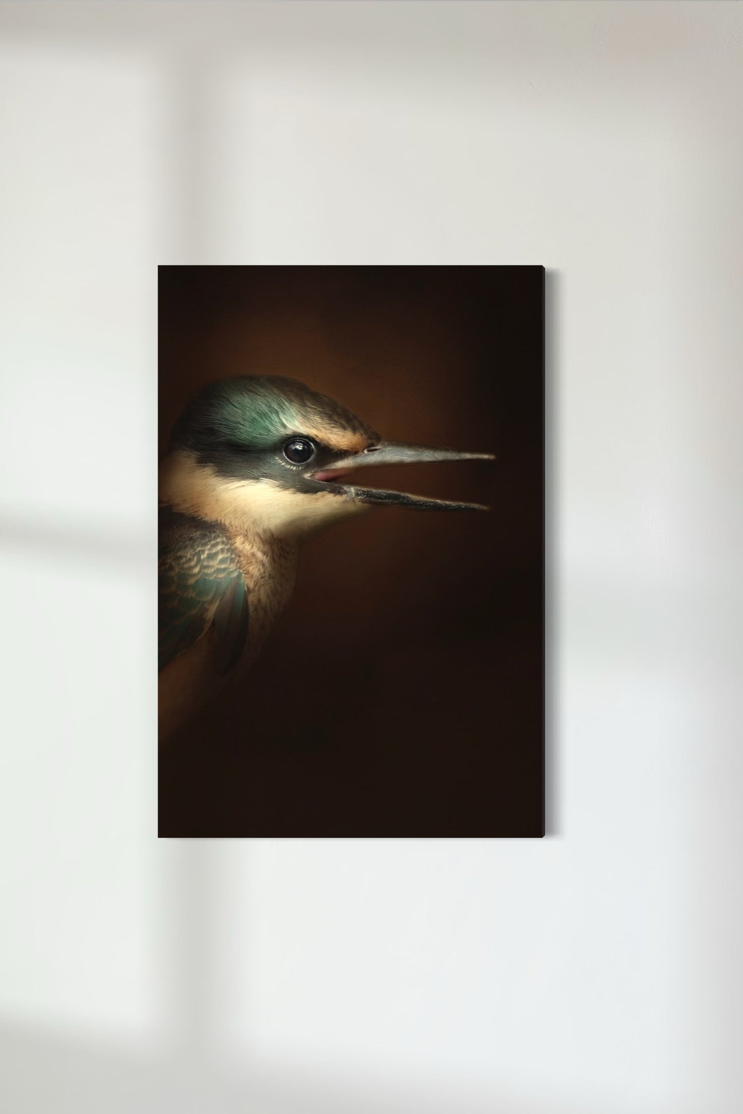 Kingfisher | Kōtare