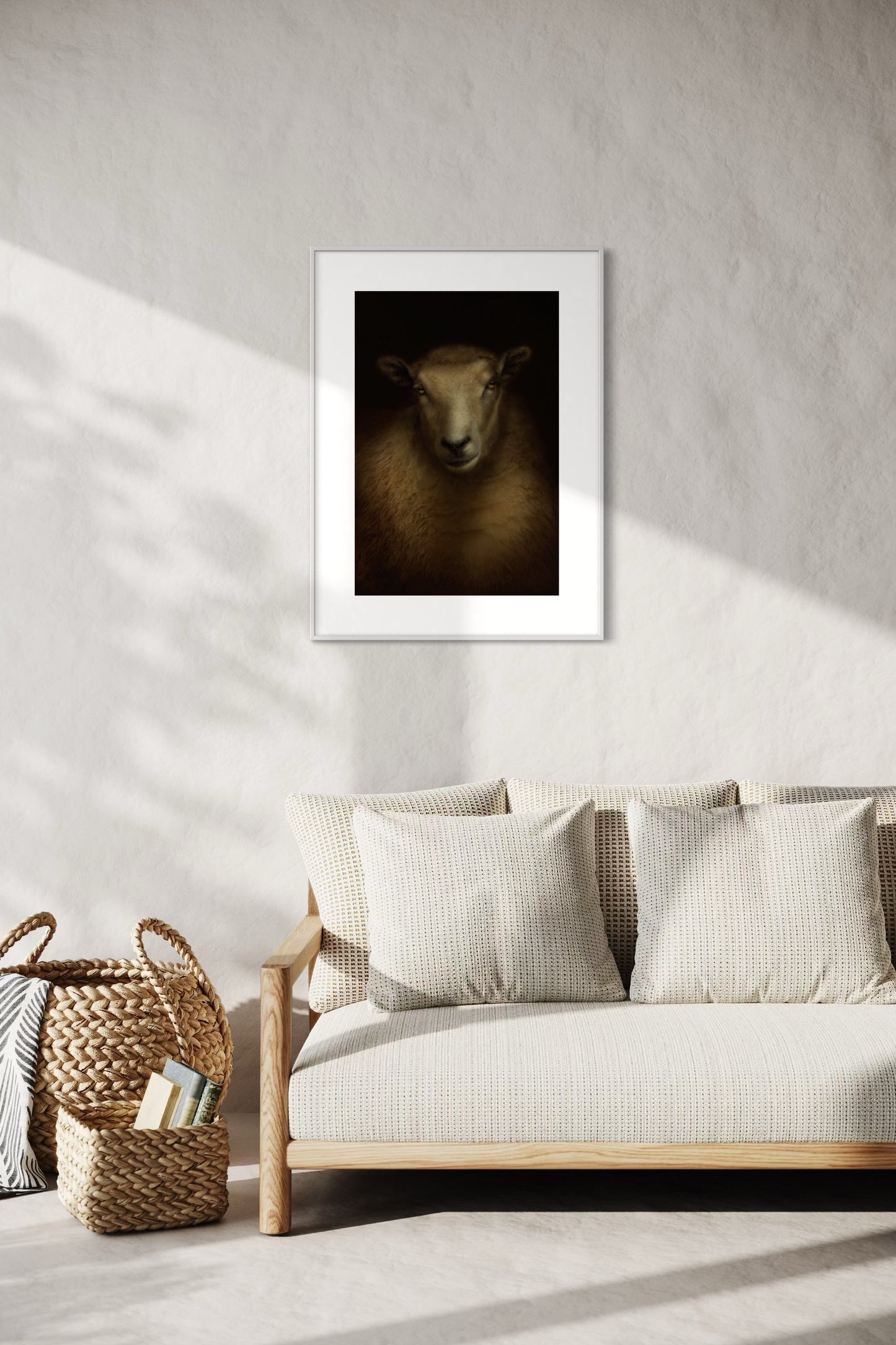 Texel x Coopworth Ewe