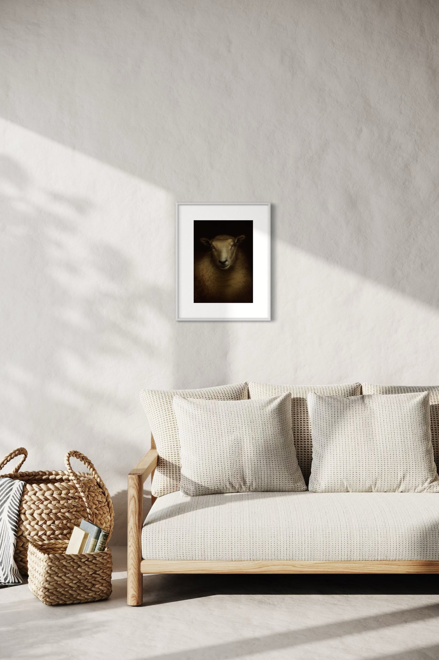 Texel x Coopworth Ewe