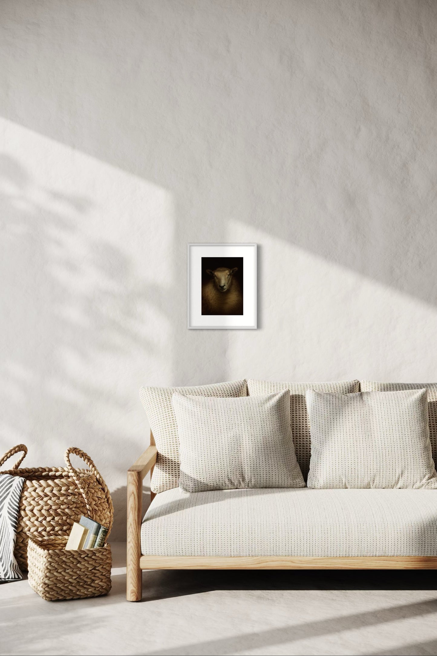 Texel x Coopworth Ewe