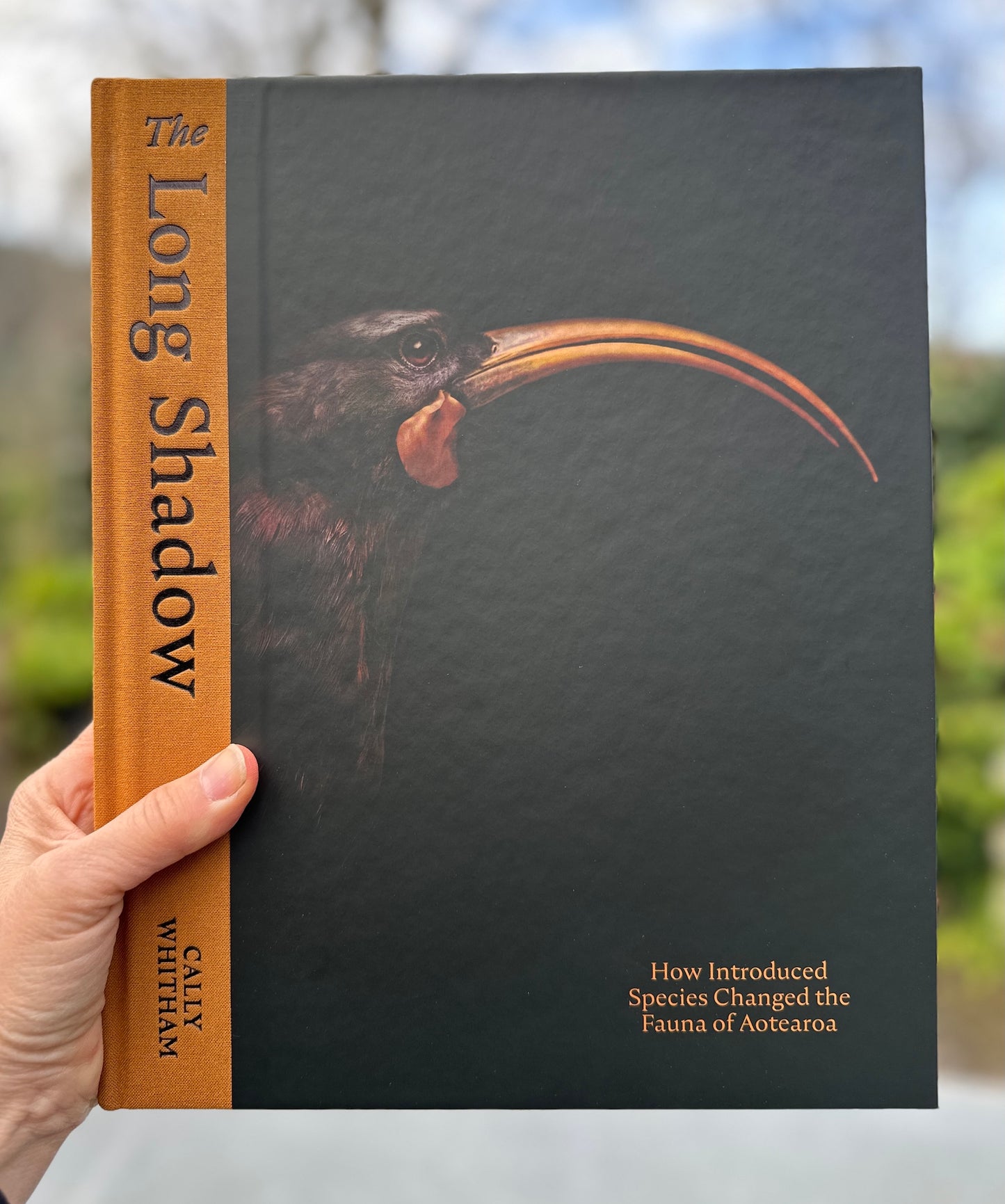 The Long Shadow: How Introduced Species Changed the Fauna of Aotearoa